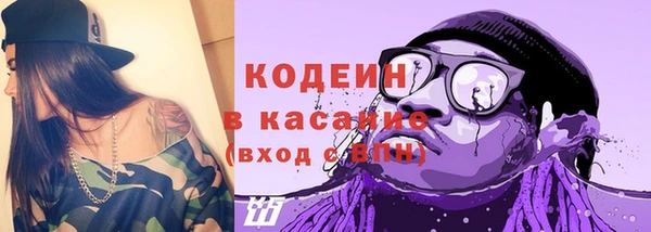 сатива Дмитровск