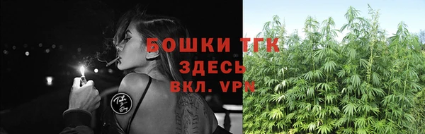 трава Дмитриев