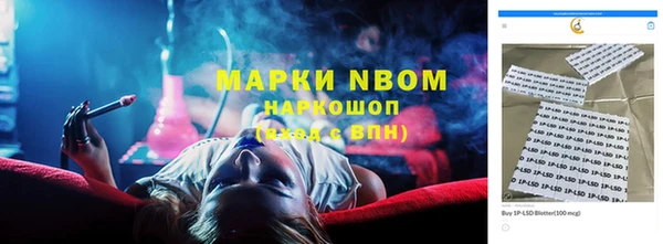 сатива Дмитровск