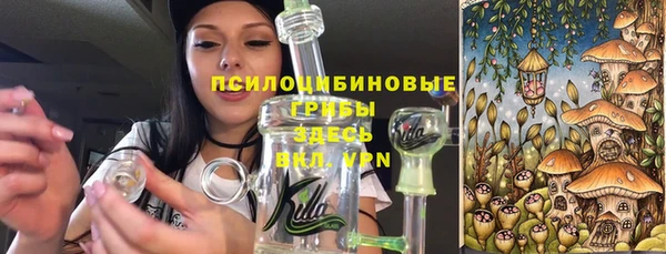 сатива Дмитровск