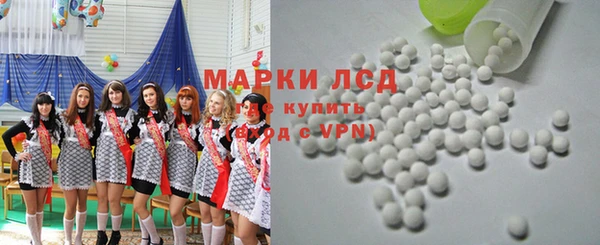 сатива Дмитровск