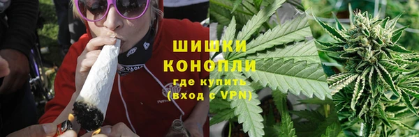 сатива Дмитровск