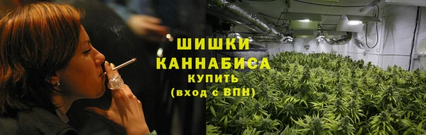 сатива Дмитровск
